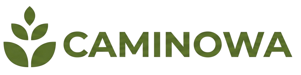 Caminowa