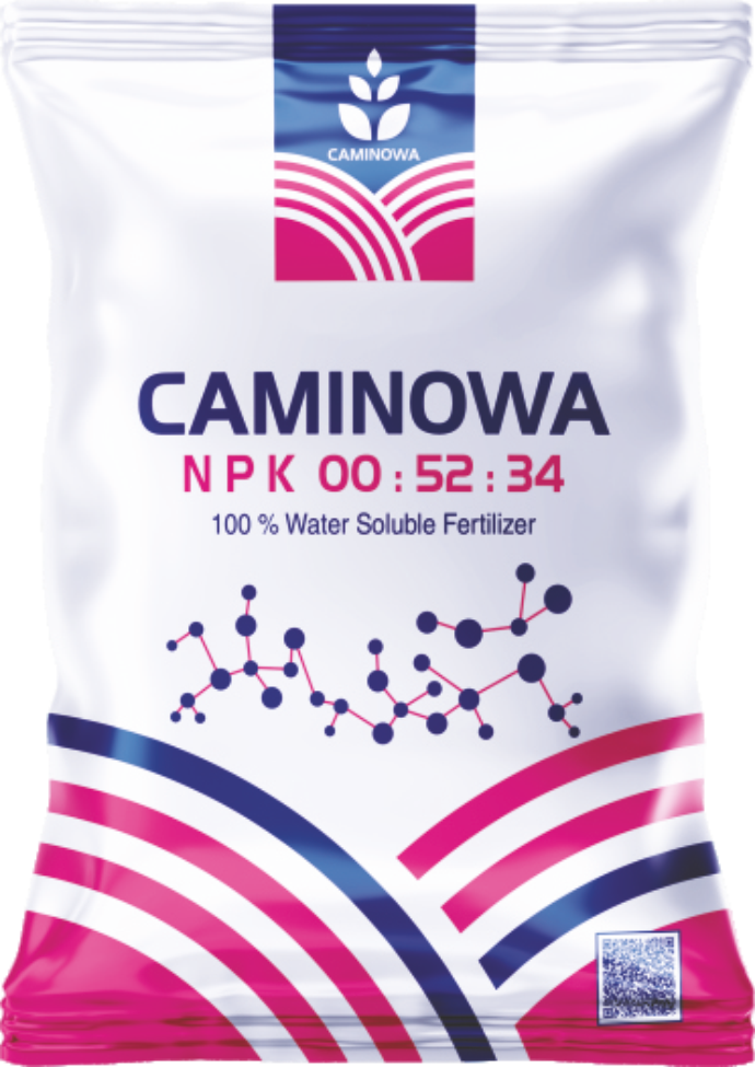 CAMINOWA N.P.K.: 00:52:34