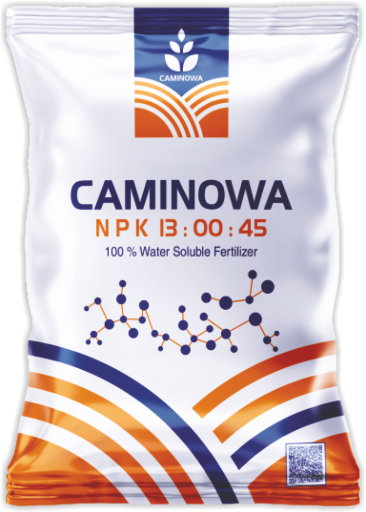 CAMINOWA N P K 13 : 00 : 45