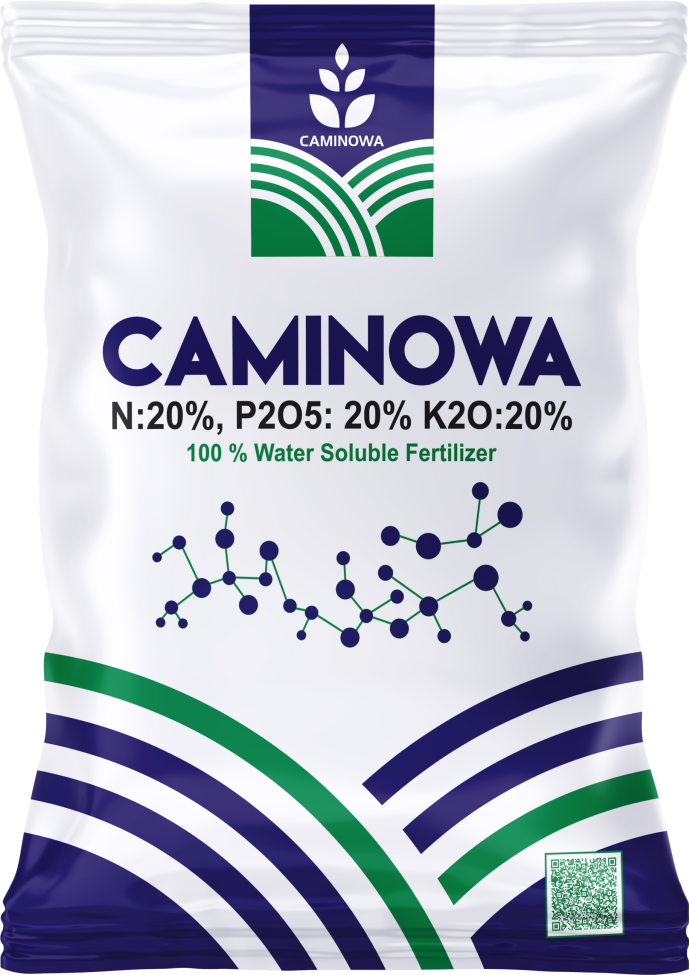 CAMINOWA NPK 20:20:20