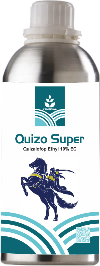 QUIZO SUPER