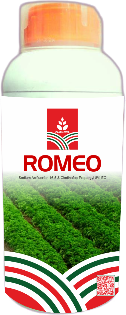ROMEO