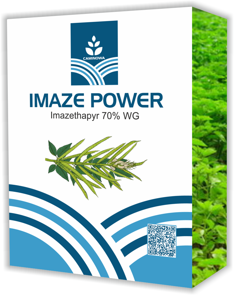 IMAGE POWER