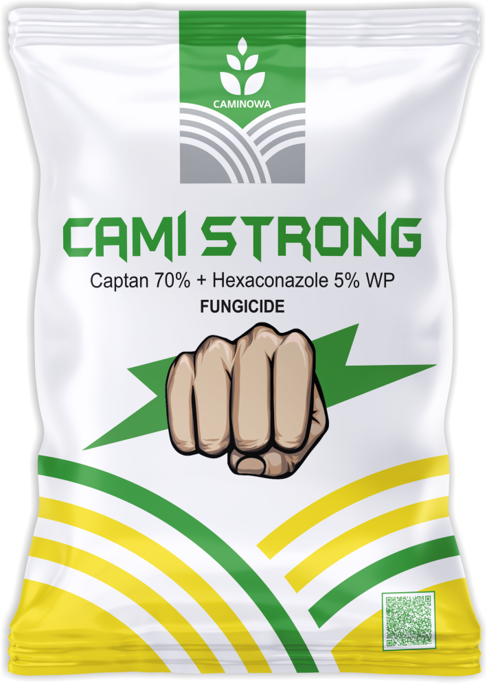 CAMI STRONG