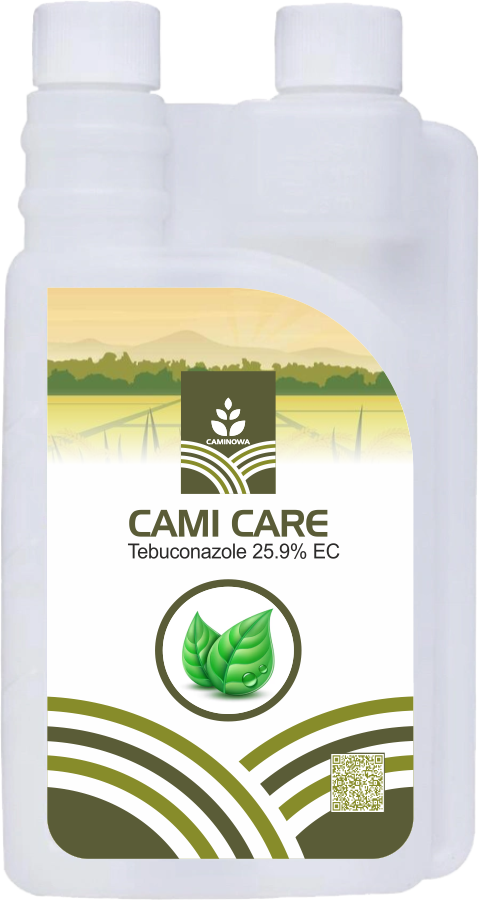 CAMI CARE