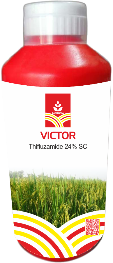 VICTOR