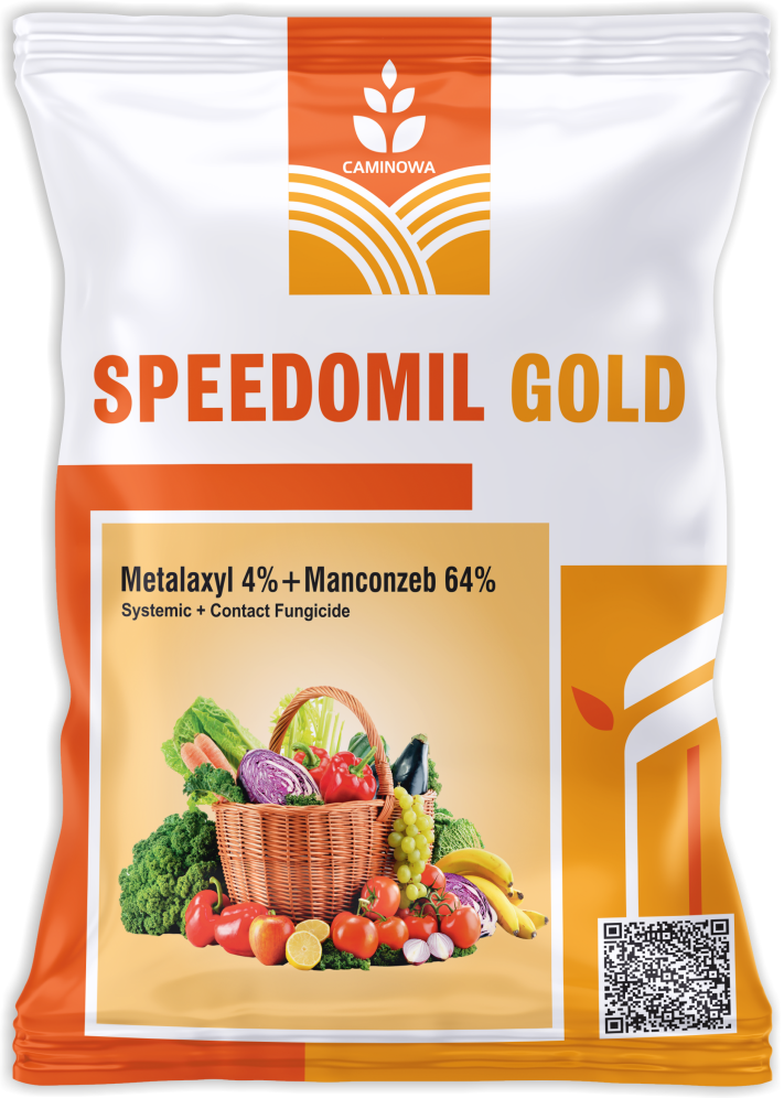 SPEEDOMIL GOLD