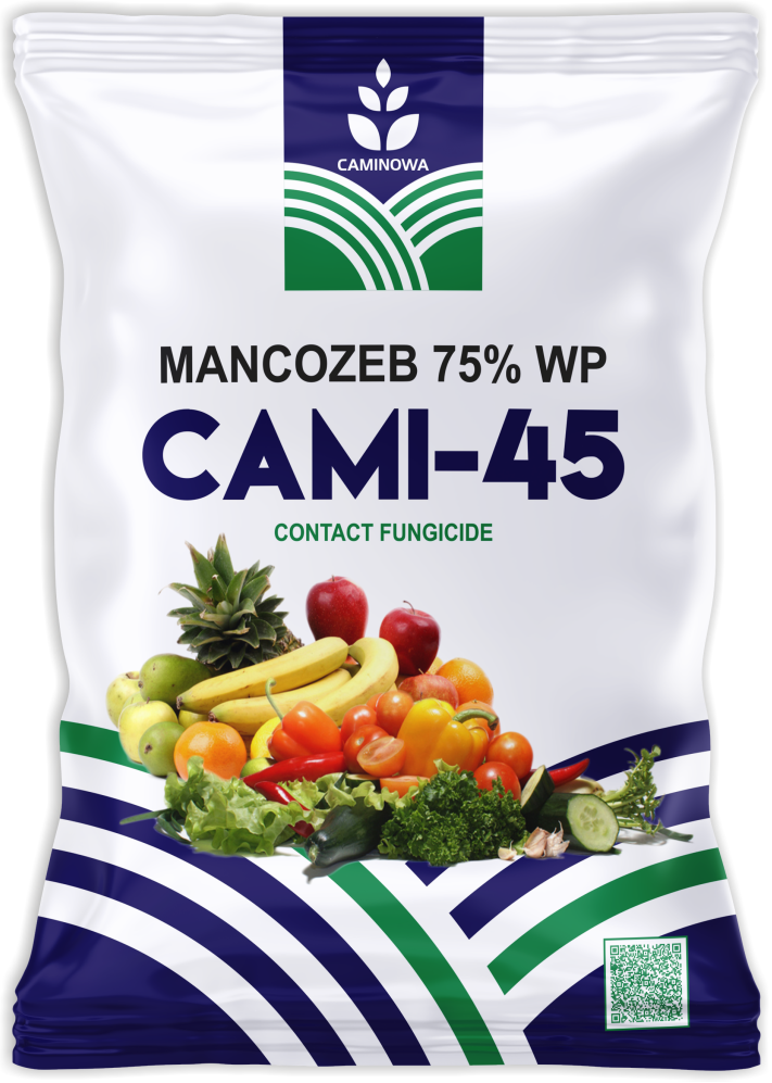 CAMI-45