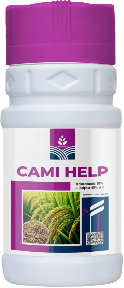 CAMI HELP