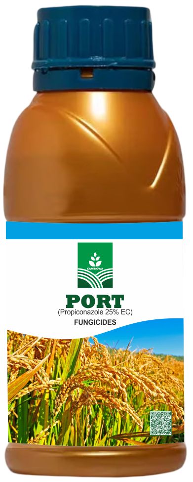 PORT