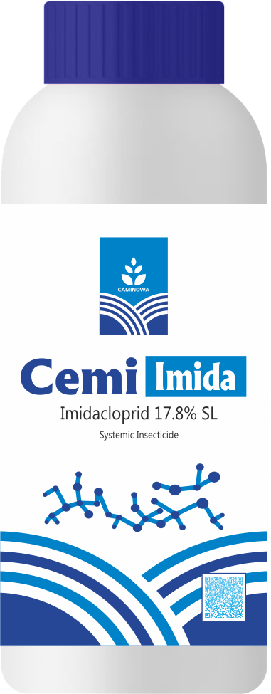 CAMI IMIDA