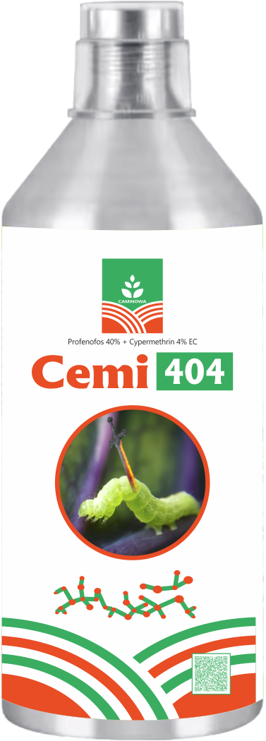 CEMI 404