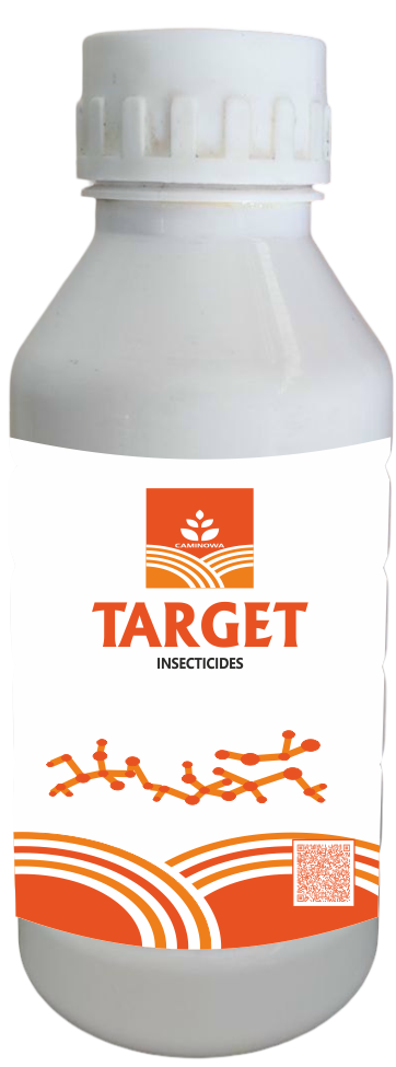 TARGET