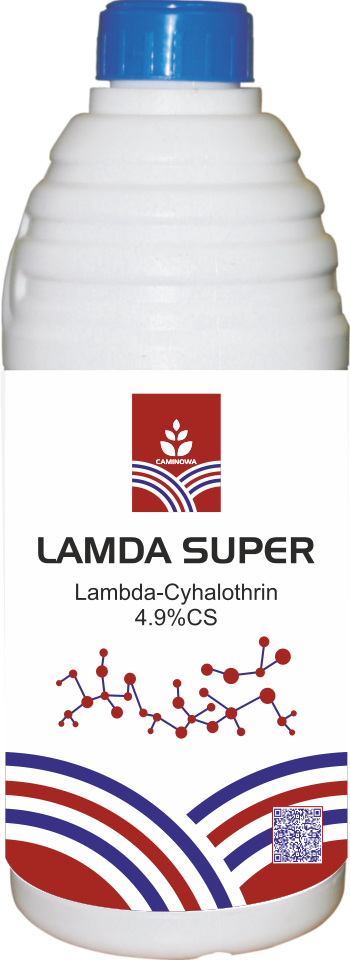 LAMDA SUPER