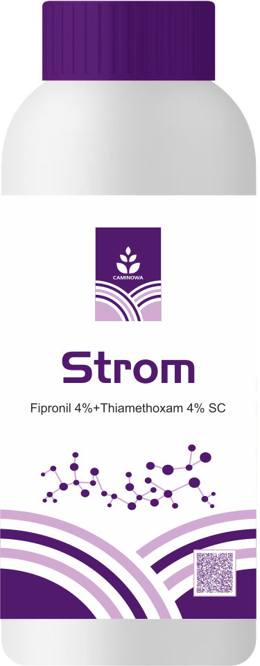 STROM