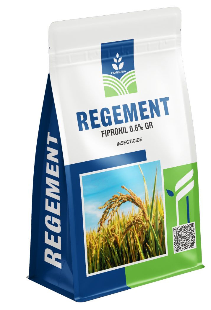 REGEMENT
