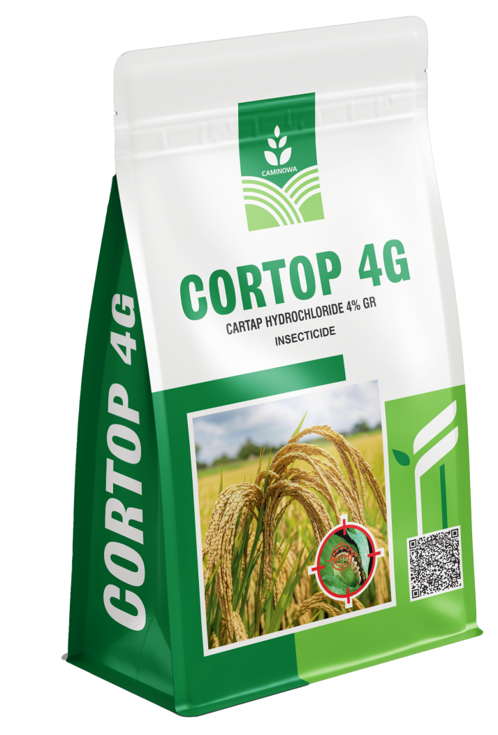 CORTOP 4G