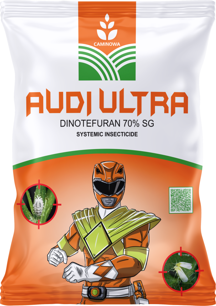 AUDI ULTRA