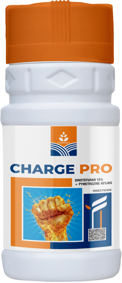 CHARGE PRO