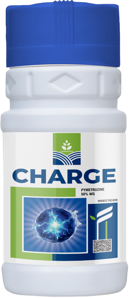 CHARGE