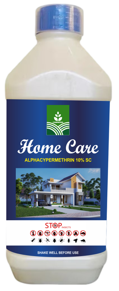HOME CARE