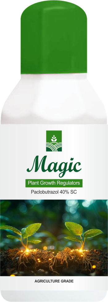 MAGIC