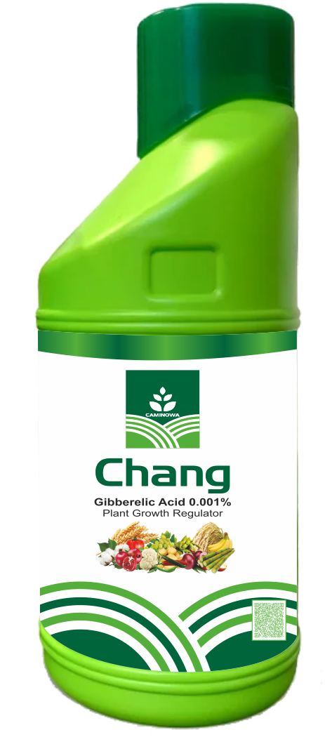 CHANG