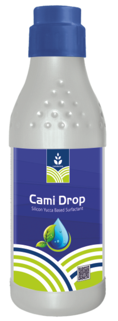 CAMI DROP