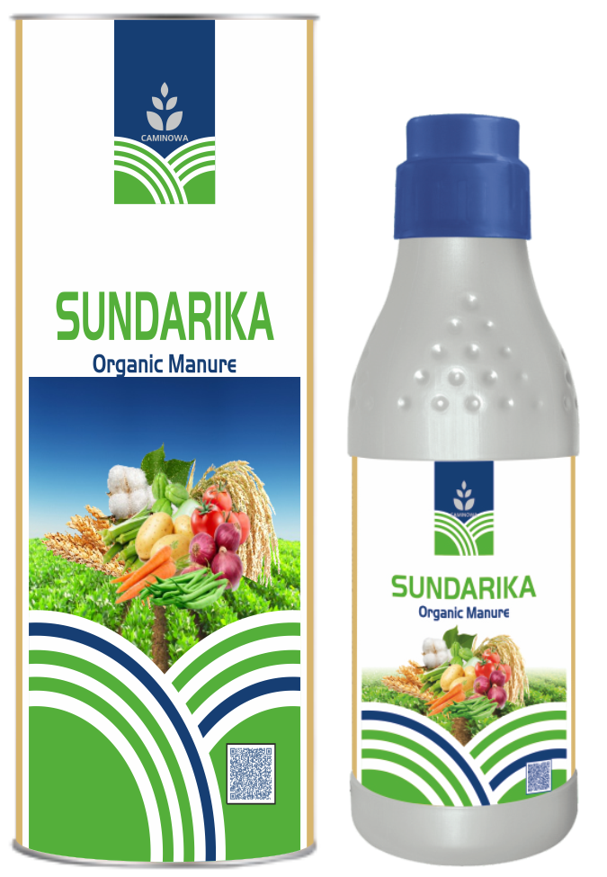 SUNDARIKA