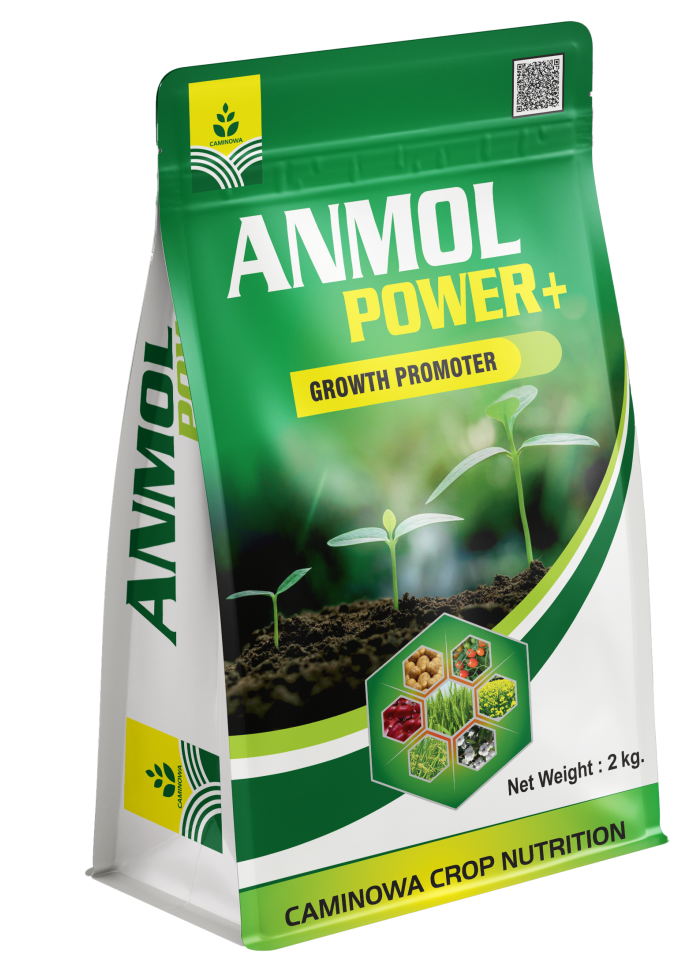 ANMOL POWER +