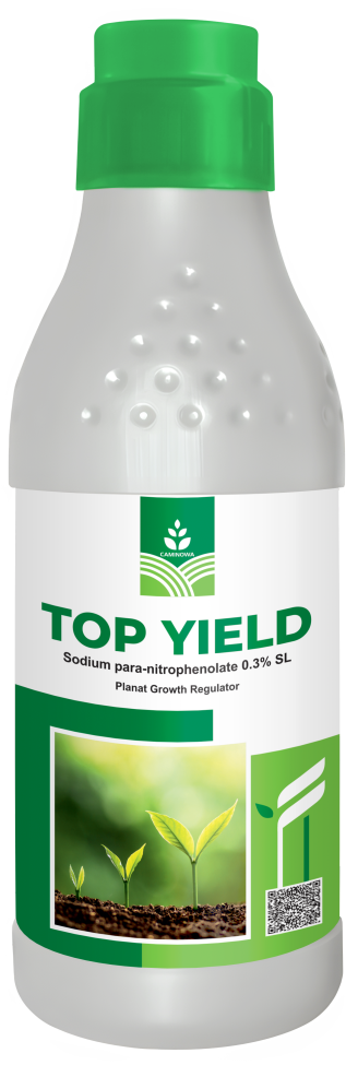 TOP YIELD